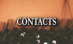 The Yellow Rose - Contact List