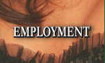 The Yellow Rose - Employment